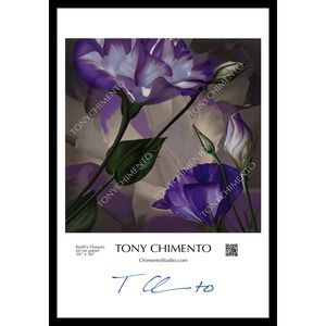 Keith's Flowers by Tony Chimento Signed Art Poster 13"x19"